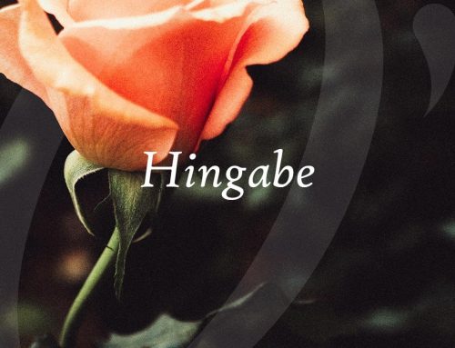 Hingabe